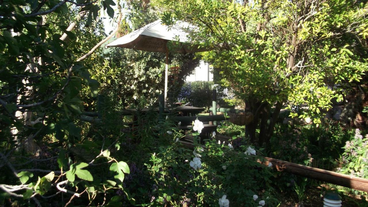 Housemartin Lodge & Self Catering De Rust 외부 사진
